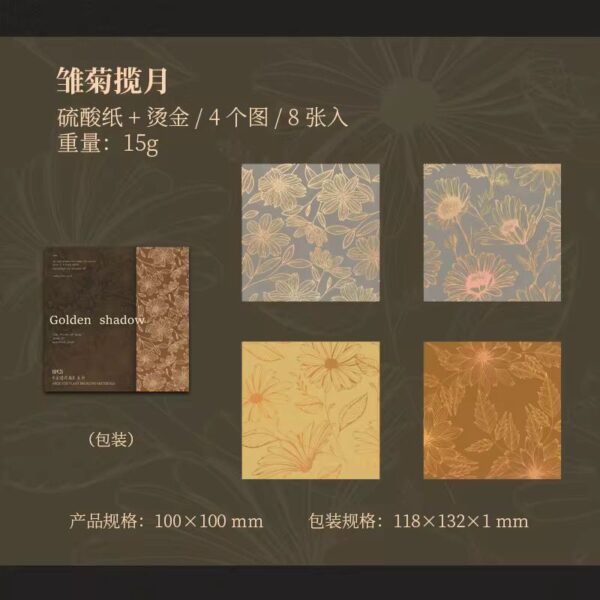 WhatsApp Image 2025-12-12 at 2.36.34 PM (2)